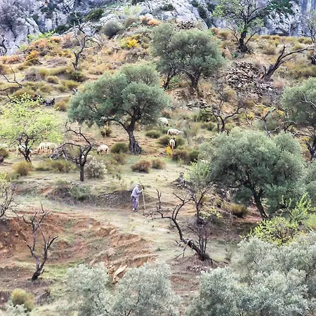 Altozano - Private Pool 4* Valle de Abdalagís